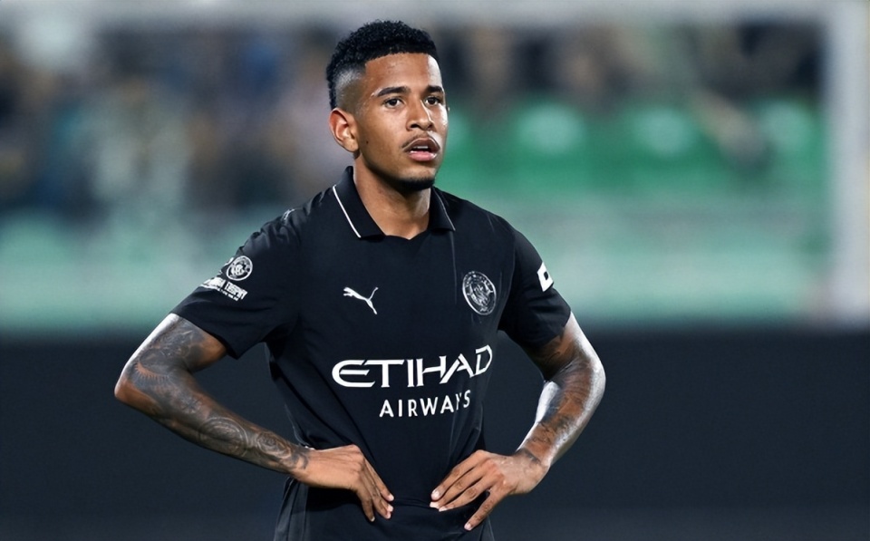 维尼奥的坚, 城也有着不, 技术特点与