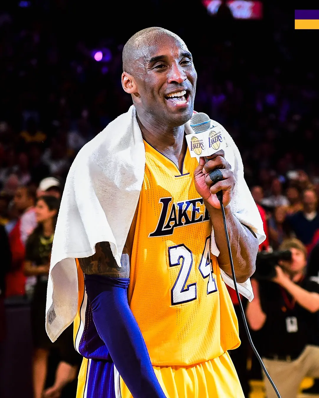 entit, msn, 岁生日