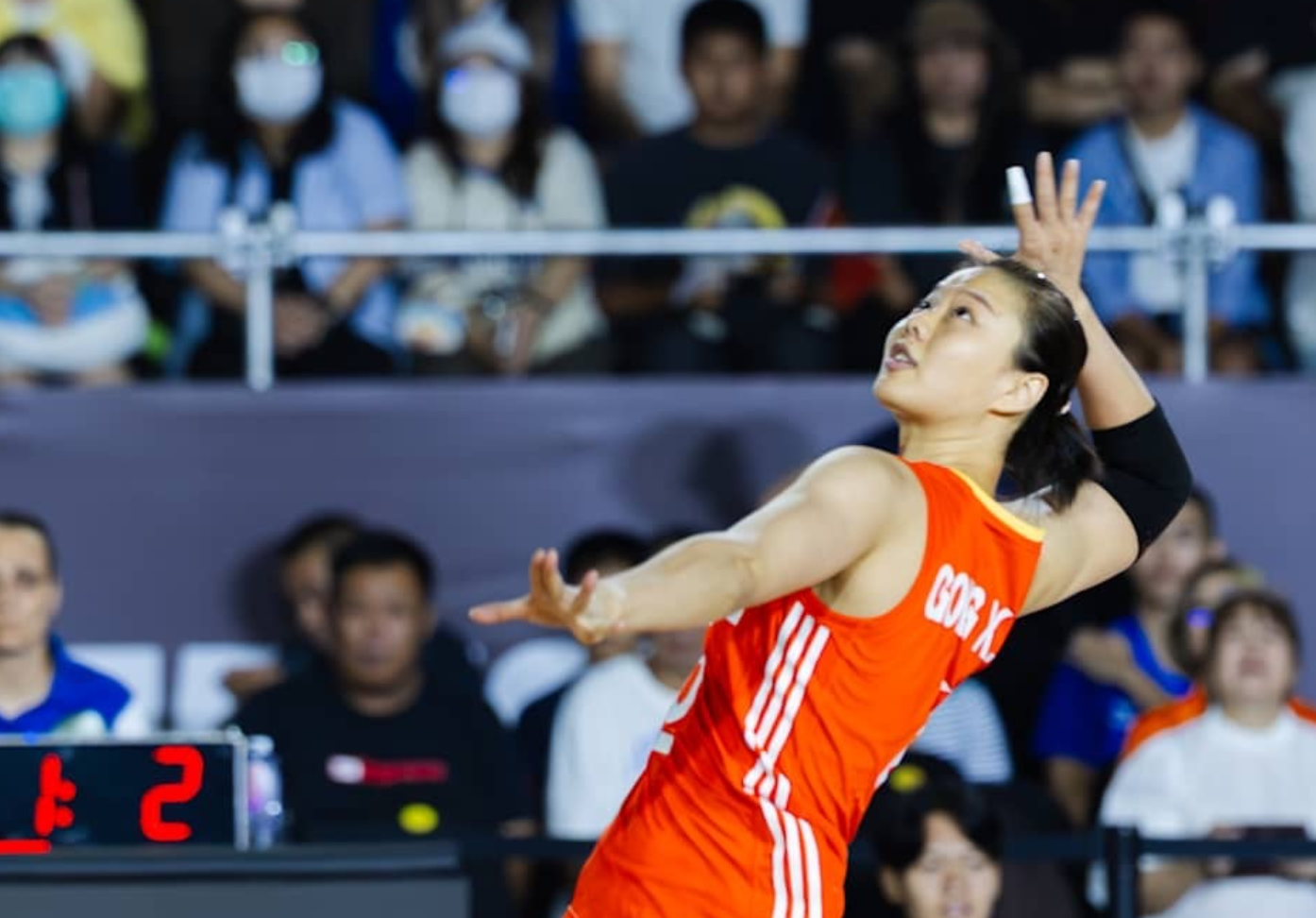 球迷, dingy, 各个球员的