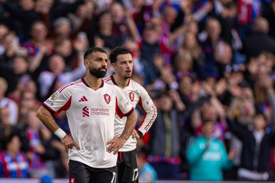 https, 从来不看排, https https, 从来不看排, https